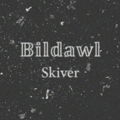 Skiver