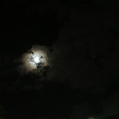 superposition (young the giant cover)