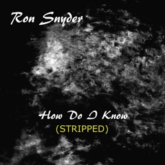 Ron Snyder - How Do I Know (STRIPPED)