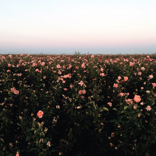 Changes On The First Song I made + a second song