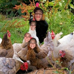 Passed Out Chickens (emotional) Ft Lil Z