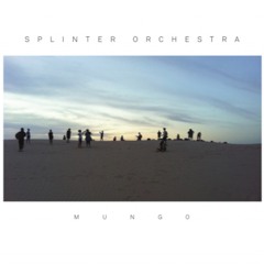 Splinter Orchestra - Mungo - Airstrip- (Excerpt)