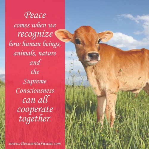 Revitalizing a True Human Civilization