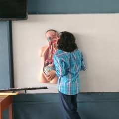 White Filter - Chica Indie