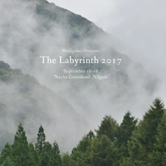 THE LABYRINTH 2017