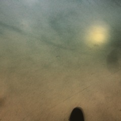 Everything You Love Will Die