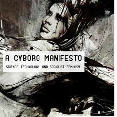 Haraway Cyborg Manifesto