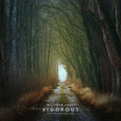 Vigorous (DJI WRC Finland 2018 Soundtrack)