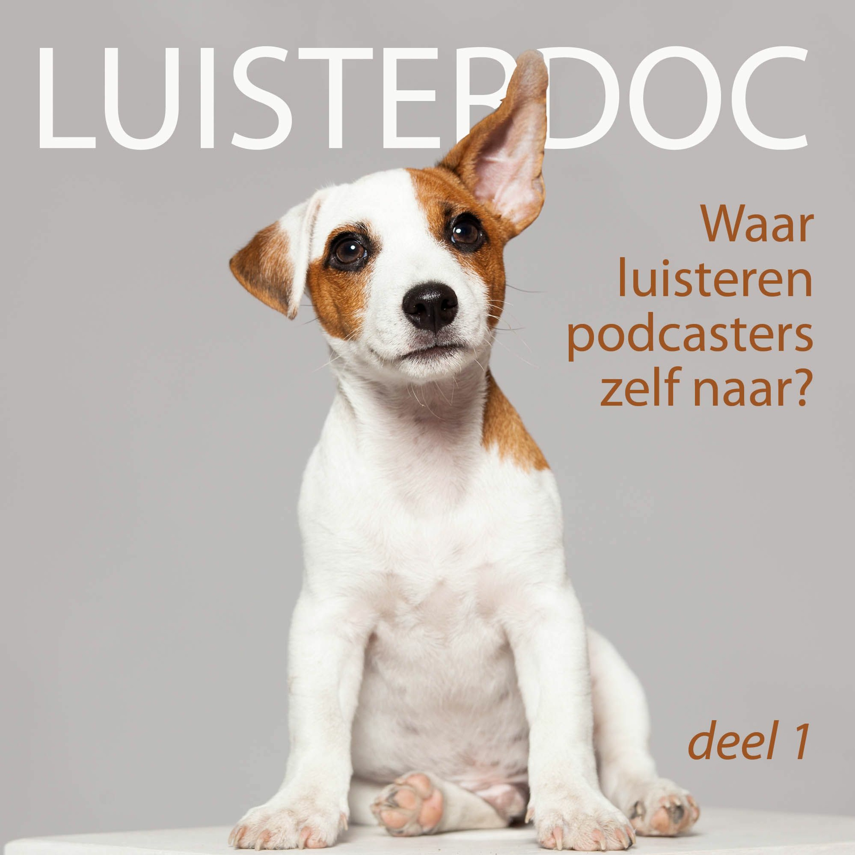 Luisterdoc