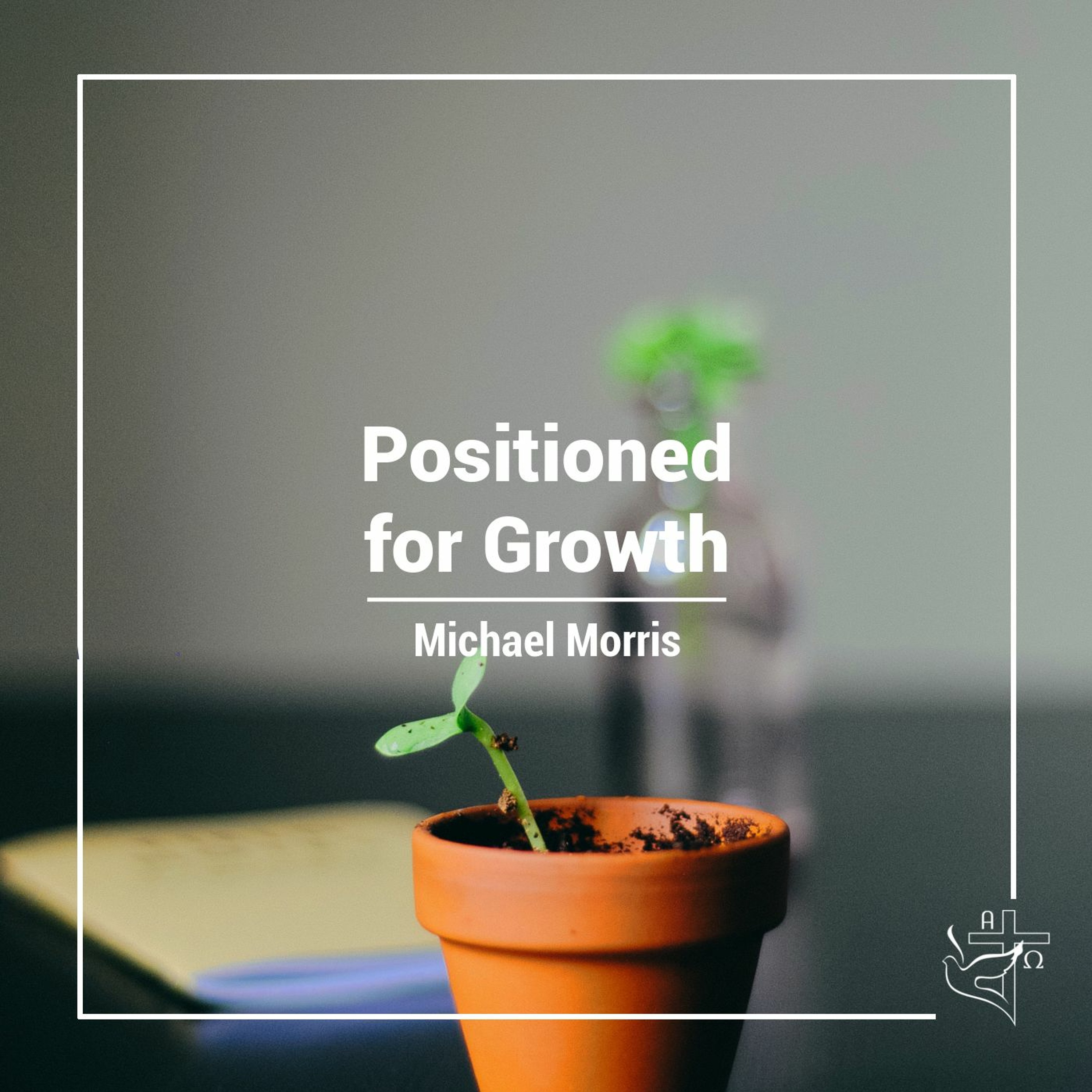 Positioned for Growth - Part 2 episode artwork