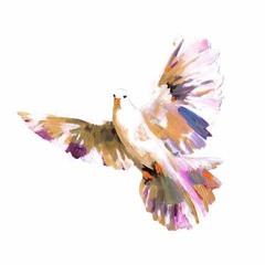 Oberst & Buchner Feat. Mimu - Doves