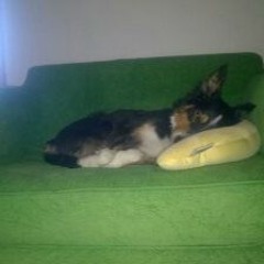 traurige.weihnacht.2020