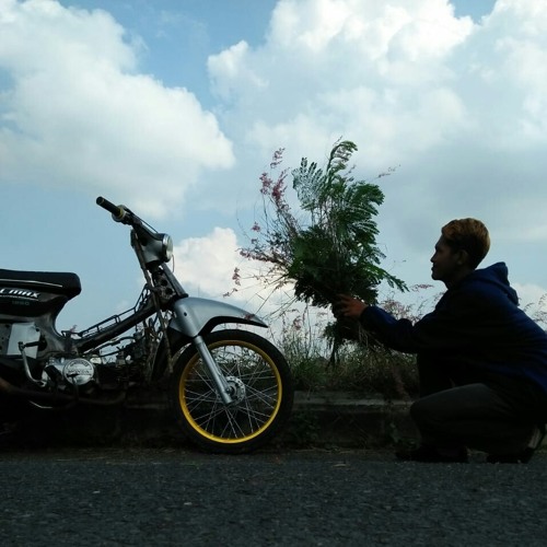 Kembange ati cak percil