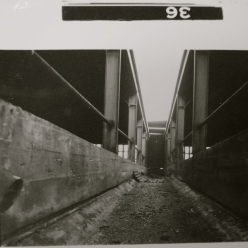 Ogrob - Générations - from "Exocrime/Générations" 7" lathe cut