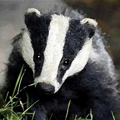 4: The Wind in The Willows: Mr. Badger