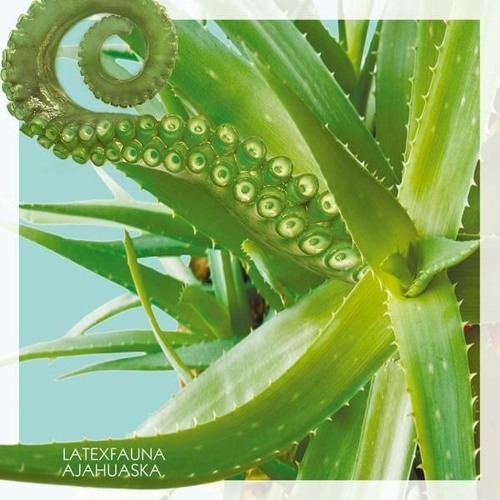 LATEXFAUNA Ajahuaska
