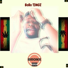 Bobotingz prod.by Boog Nasty