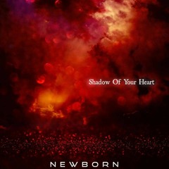 Shadow Of Your Heart