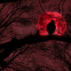 (FREE) XXXTENTACION x SHILOH TYPE BEAT *IF IM LOST*