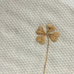 Kaseo - Mix of the day