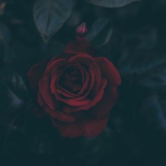 "You'll Get Over It" - Emotional, Story-Telling Beat with Hook (Prod. Dorii)