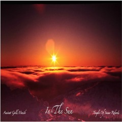 ± IN THE SUN ± DRIP TYPE ±
