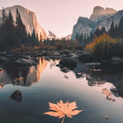Autumn Daze