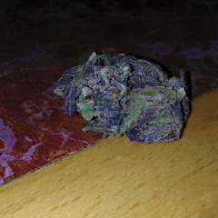 Lil $kxrpio Feins (PROD. LIL $KXRPIO X TREETIME)