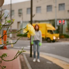 autumn fall