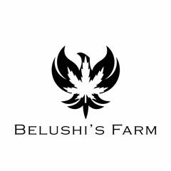 MWCB 35. Jim Belushi // The Belushi Way // Belushi's Farm