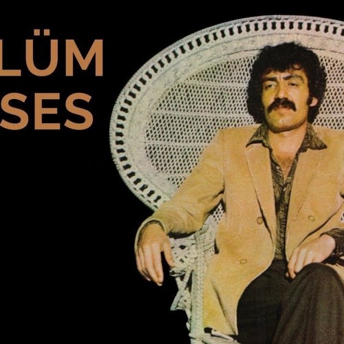 Stream Huseyin Zeynalov | Listen to müslüm playlist online for free on  SoundCloud