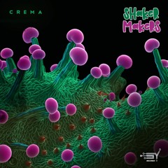 Shaker Makers - Crema (OUT NOW ON SY RECORDS)