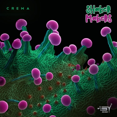 Shaker Makers - Crema (OUT NOW ON SY RECORDS)