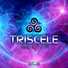02 - Triscele - Intrise Nectar