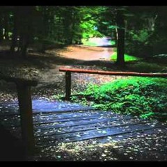 يارب فاجبر خاطري.mp3