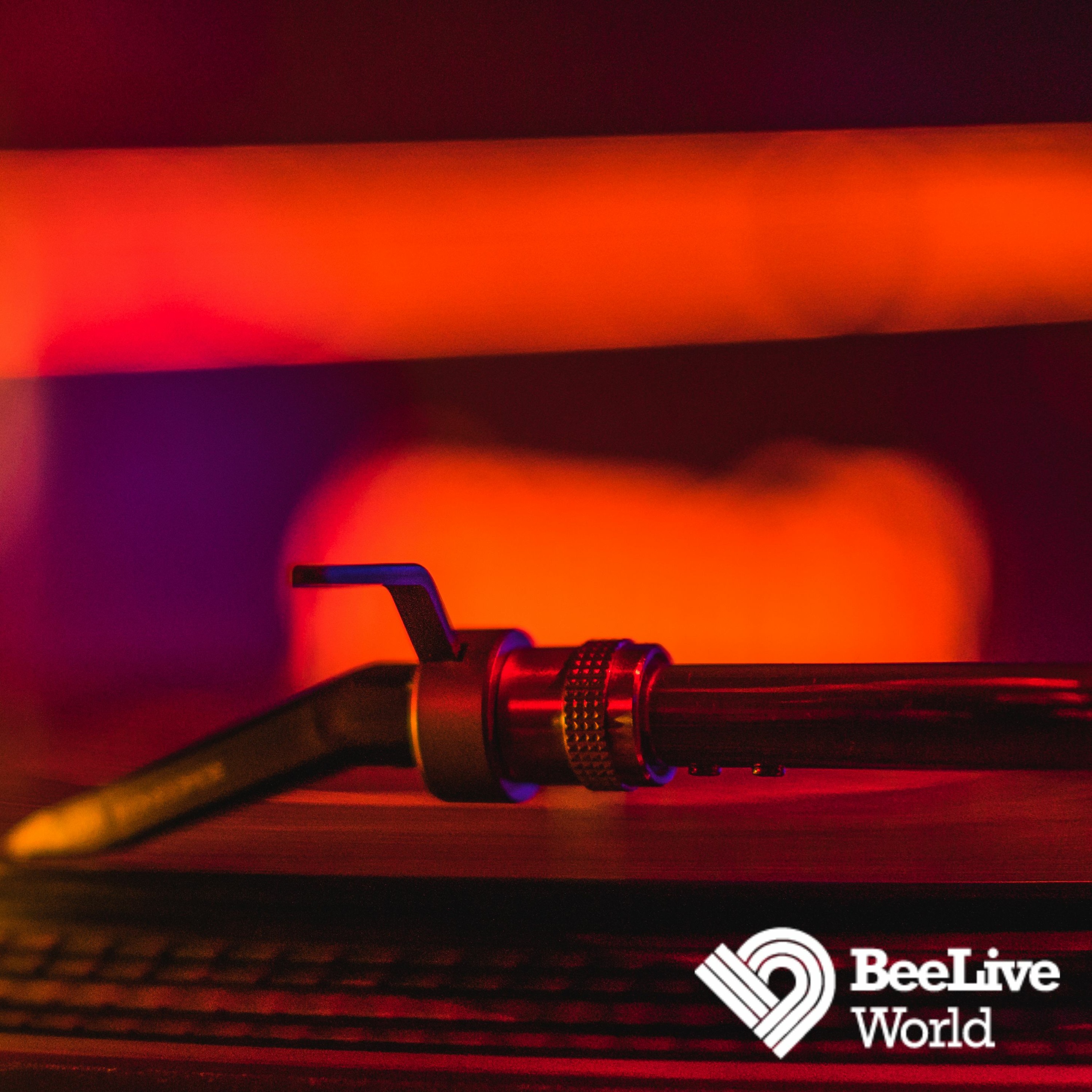 Podcast 342 Beeliveworld by Dj Bee 26.10.18 Side A episode artwork