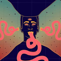 Acid Frenetik [Live Extract]