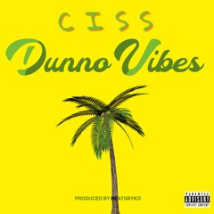 Dunno Vibes(Prod. BeatsByKO)