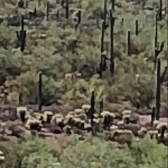 JEROME Mixfile #391-Ryan Wick