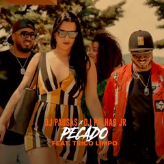 Dj Pausas & Dj Palhas Jr - Pecado Ft Trigo Limpo