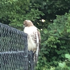 Turnt Up ( Featuring. Marty Da KiD)