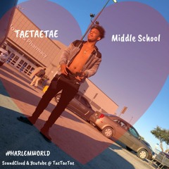 TaeTaeTae - Middle School