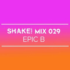 SHAKE MIX 029 - Epic B