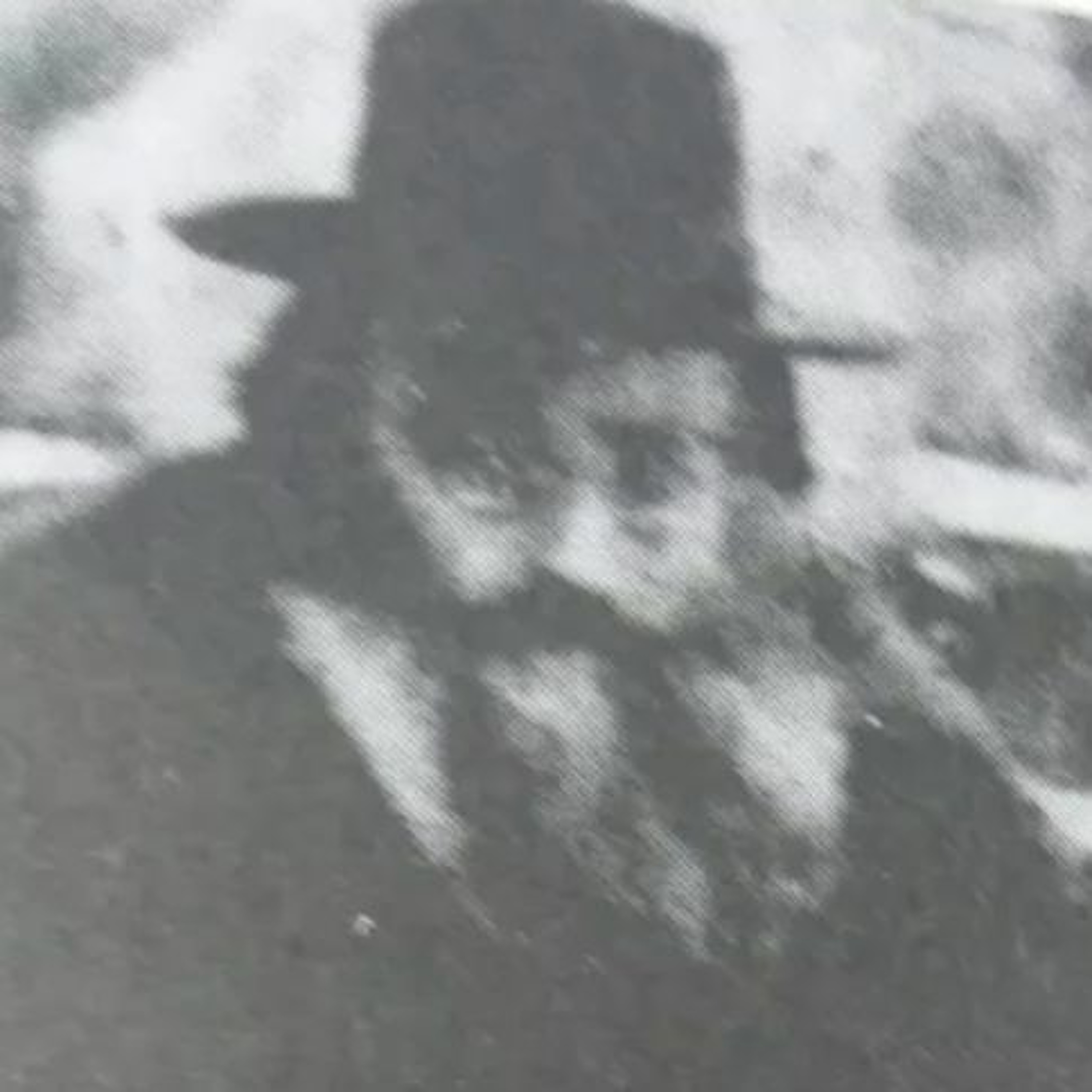 Shuaros (Talks, Classes, Shiurim)