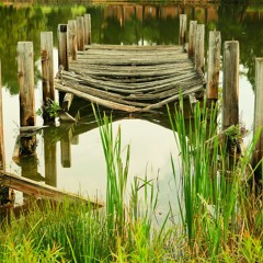 Swampy Instrumental Cues