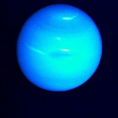 Neptune(demo)