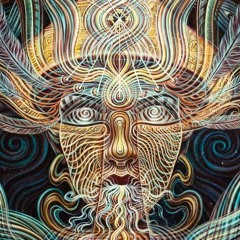 Digital Shaman [220] @ WAV PREVIEW