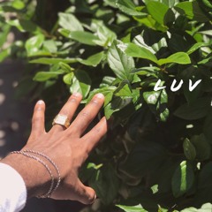 L U V