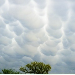 Down By The River (Demo)