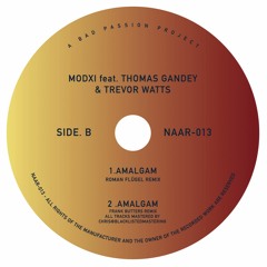 B1 - Amalgam - Roman Flügel Remix / Not An Animal
